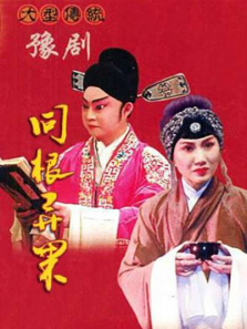 同根异果 同根异果