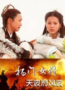 杨门女将天波府风波完整版