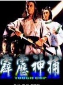 霹雳神捕 霹雳神捕
