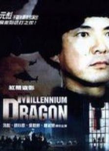 红墙盗影 红墙盗影