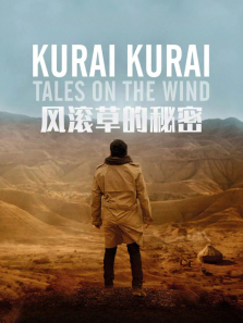 ����ݵ�����