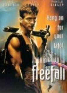 自由落体 自由落体