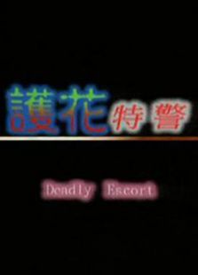 护花特警 护花特警