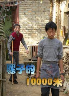 骡子的10000米完整版