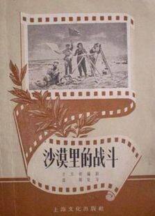 沙漠里的战斗完整版
