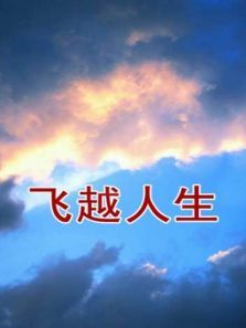 飞越人生 飞越人生