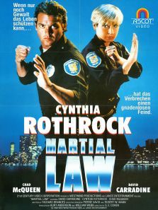 特别突击队 特别突击队