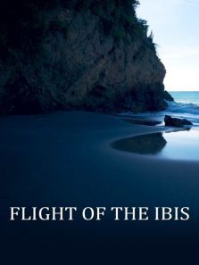 无敌雄鹰 无敌雄鹰