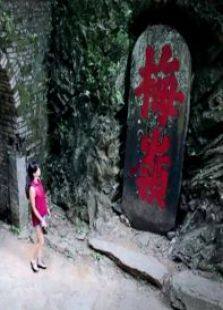 因为爱完整版