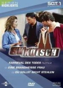 特别行动组 特别行动组