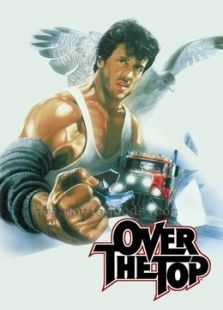 飞越巅峰 飞越巅峰