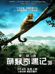 《亚马逊萌猴奇遇记Amazonia》剧照海报