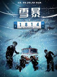 《雪暴1814》海报