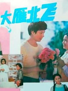 大雁北飞 大雁北飞