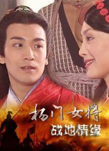 杨门女将战地情缘完整版