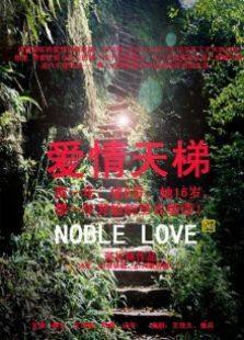 爱情天梯完整版