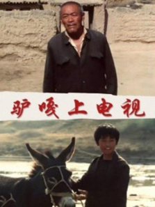 驴嘎上电视 驴嘎上电视