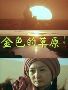 金色的草原 金色的草原