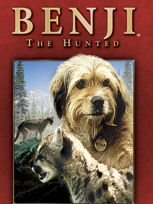 ���ֳ�����