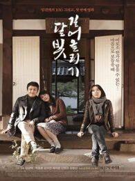 汲取月光完整版