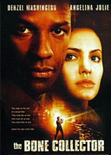 人骨拼图 人骨拼图