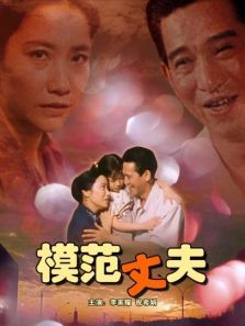 模范丈夫 模范丈夫