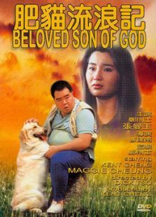 肥猫流浪记 肥猫流浪记