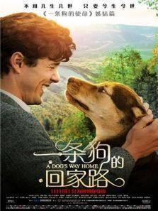 一条狗的回家路普通话版完整版
