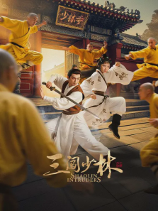 三闯少林 三闯少林
