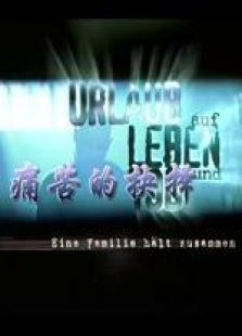 痛苦抉择 痛苦抉择