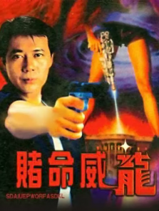 赌命威龙 赌命威龙