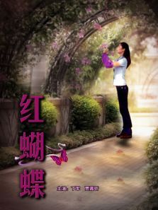 红蝴蝶 红蝴蝶