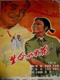 《大圣文化1962》海报