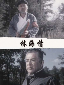 林海情 林海情