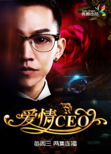 爱情CEO 爱情CEO