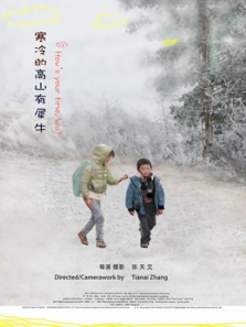 寒冷的高山有犀牛 寒冷的高山有犀牛