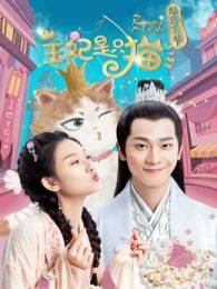 报告王爷王妃是只猫第一季 海报