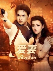 爱妻普通话版 爱妻普通话版