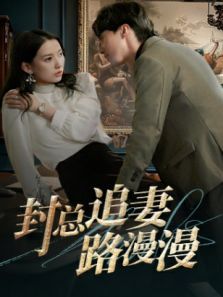 封总追妻路漫漫 封总追妻路漫漫
