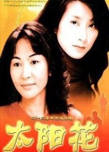 太阳花2002版 太阳花2002版
