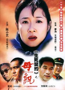 母亲2004 母亲2004