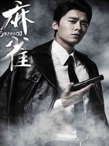 麻雀DVD版 麻雀DVD版