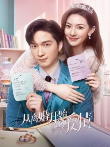 从离婚开始的爱情 从离婚开始的爱情