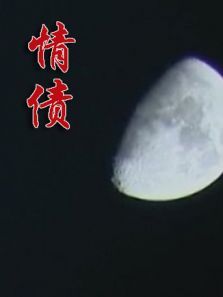 情债2018 情债2018