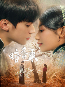 暗香来 暗香来
