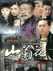 山菊花 山菊花