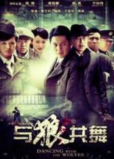 与狼共舞未删减版 与狼共舞未删减版