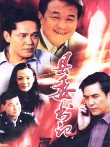 县委书记 县委书记