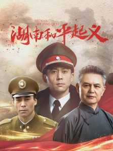 湖南和平起义 湖南和平起义