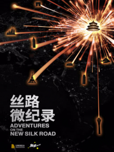 丝路微纪录 丝路微纪录